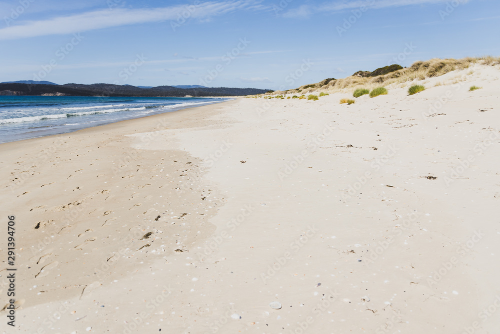 sunny pristine and deserted beach overlooking the South Pacific Ocean sunny pristine and deserted beach overlooking the South Pacific Ocean