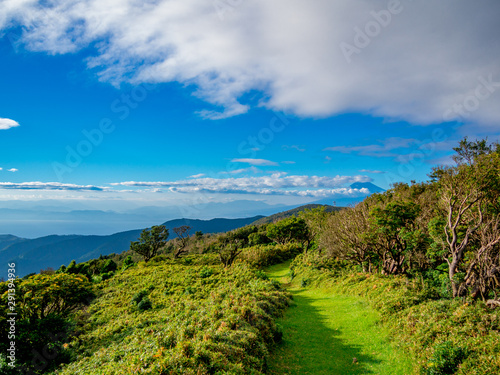 【静岡県伊豆半島】夏の高原風景【伊豆山稜線歩道・だるま山周辺】 © Kazuhito Hiramatsu