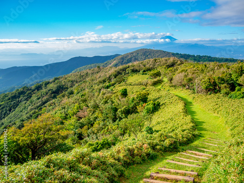 【静岡県伊豆半島】夏の高原風景【伊豆山稜線歩道・だるま山周辺】 photo