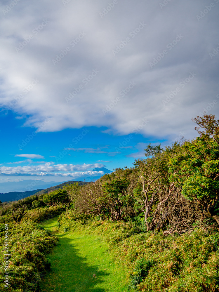 【静岡県伊豆半島】夏の高原風景【伊豆山稜線歩道・だるま山周辺】