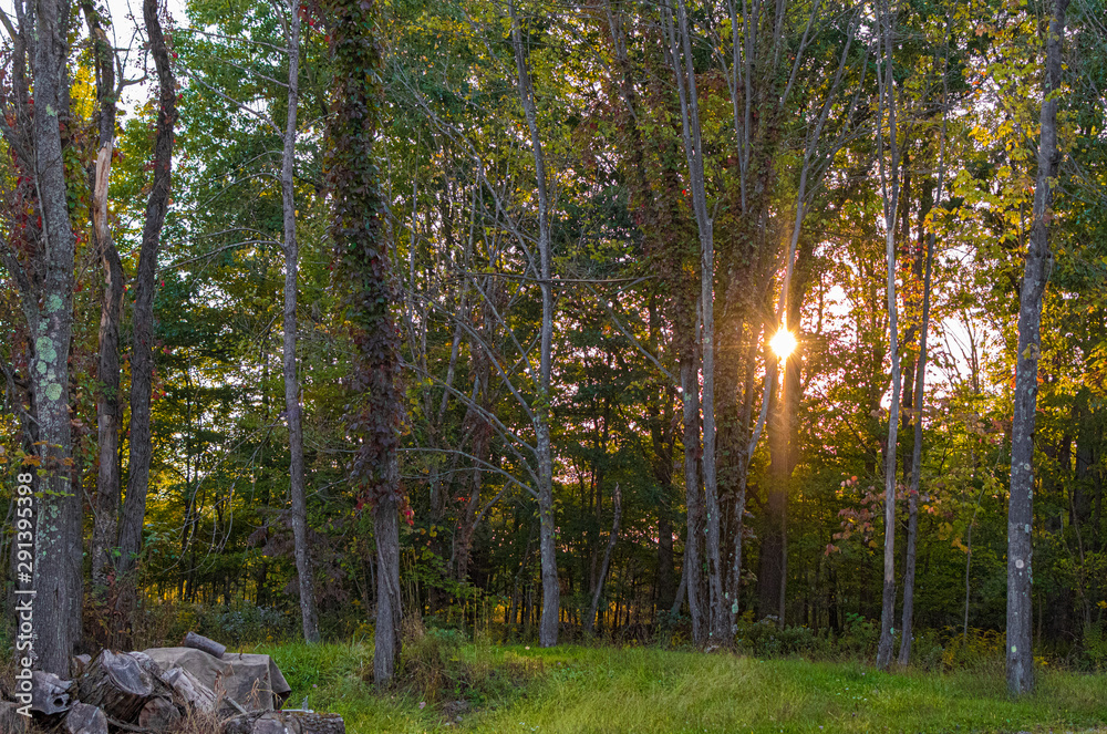 Obraz premium Country Colors