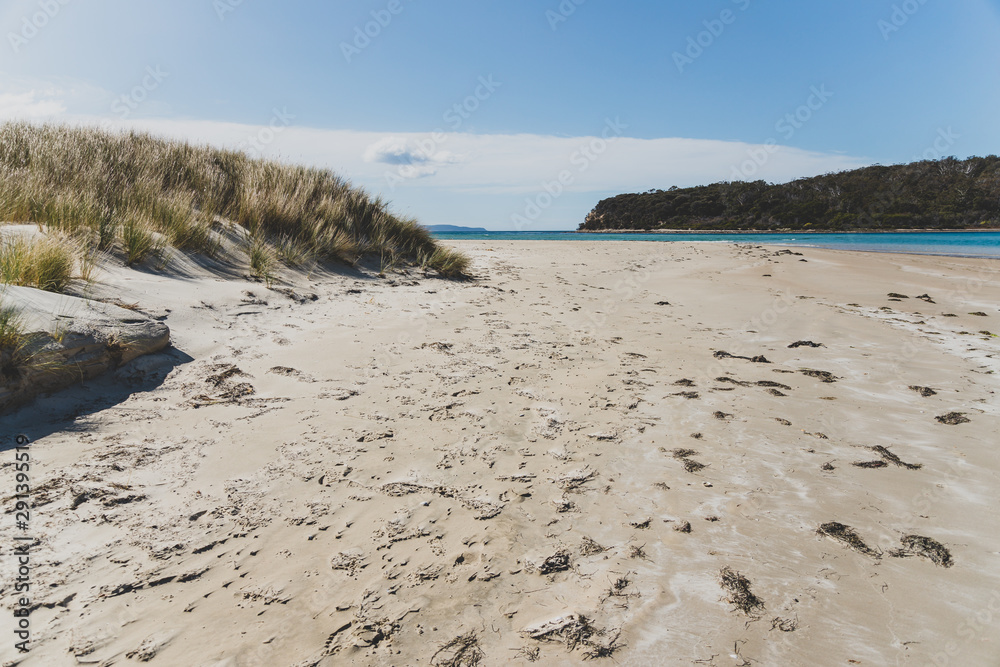 sunny pristine and deserted beach overlooking the South Pacific Ocean