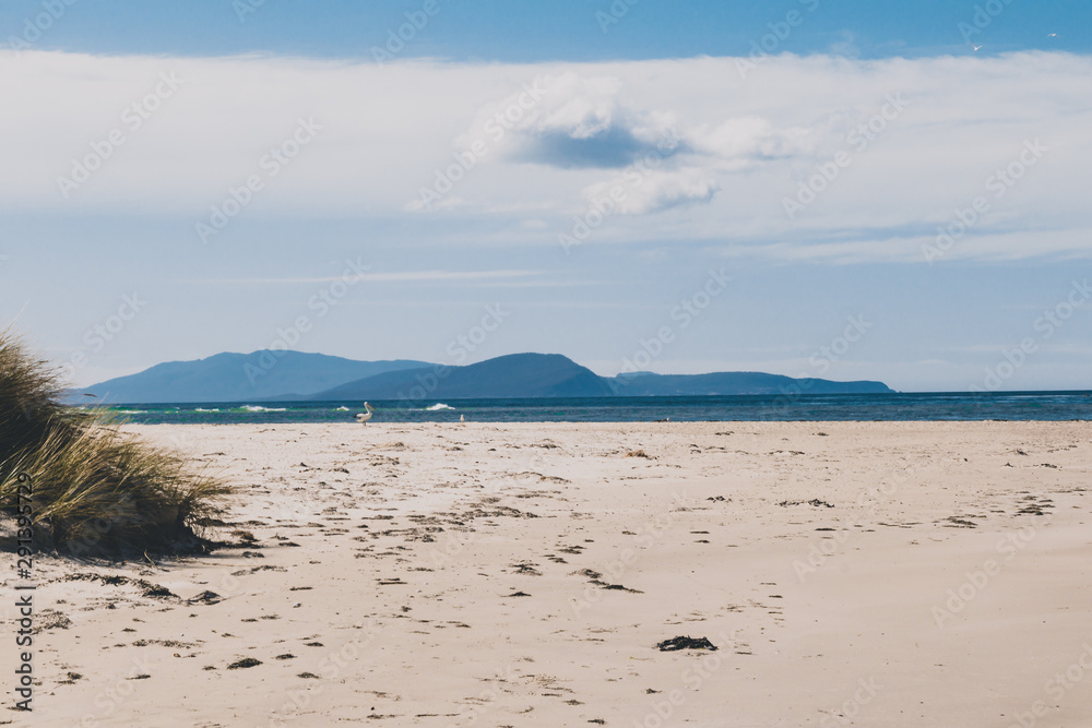 sunny pristine and deserted beach overlooking the South Pacific Ocean sunny pristine and deserted beach overlooking the South Pacific Ocean