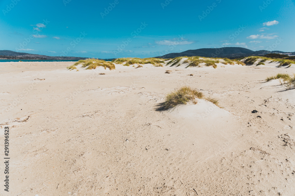 sand dunes along deserted beach in Marion Bay