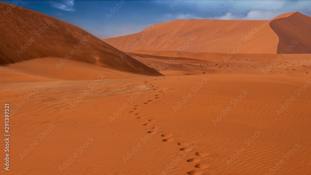 A set of footprints in the sand in the large red dunes of Sossusvlei, Namib Desert, Namibia. Wind blowing sand off the top of dunes.