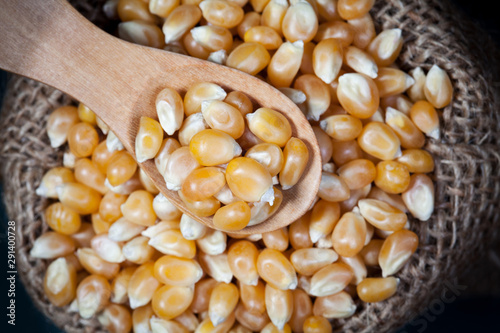Close up dry corn kernels in wooden spoon and hemp sacks, take a photo on top view.