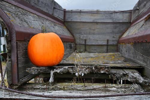 Ripe Pumpkin and Vintage Farming Equipment © Pam Walker
