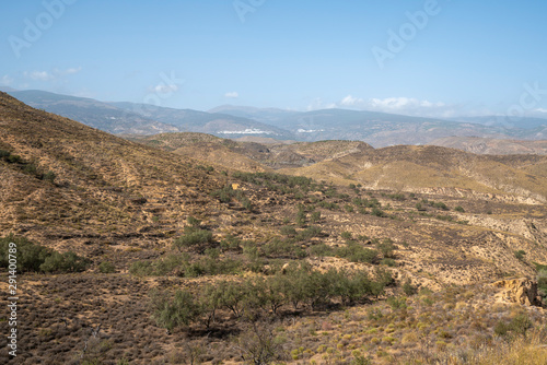 mountainous landscape with olive trees © Javier