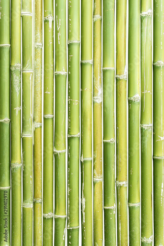 Fototapeta Naklejka Na Ścianę i Meble -   bamboo isolated on a white background