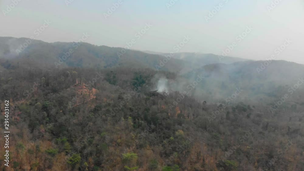 Smoke pollution problem from burning tree leave with fire in green forest and mountain in Asian country  with 