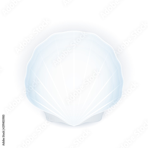 Seashell isolated on white background, blue shell, vector illustration