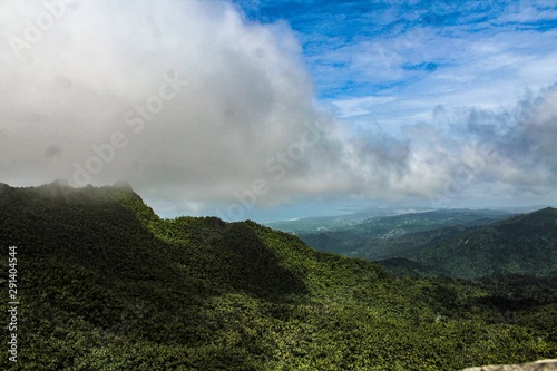 View of the rain forest in El Yunque National Park in Puerto Rico