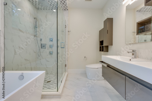 Interior design of a modern bathroom in a newly built house or apartment  hotel room.