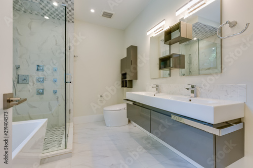 Interior design of a modern bathroom in the newly built house or apartment, hotel room.
