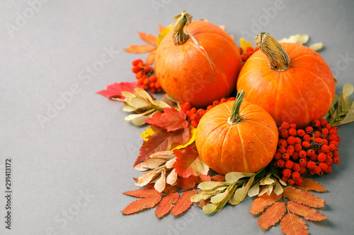 Autumn frame with dry leaves, natural and decorative pumpkins composition on gray background, seasonal halloween, thanksgiving holiday fall concept, copy space