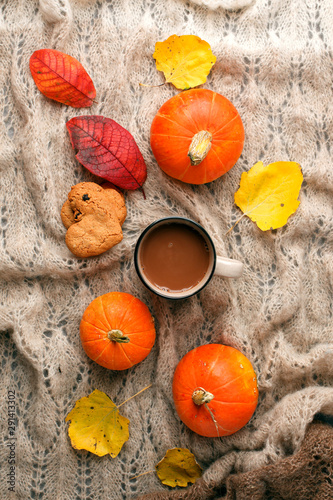 Cozy autumn morning with cup of cocoa and chocolate, dried oranges leaves, pumpkin and cookies on warming handcrafted plaid background, fall, halloween thanksgiving
