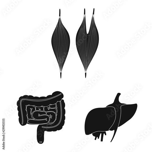 Vector illustration of research and laboratory icon. Collection of research and organ vector icon for stock.