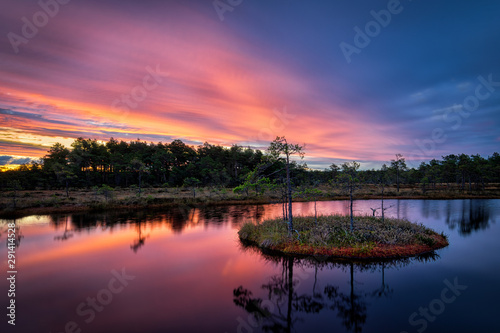 Colorful sunrise at one of the bog ponds of Soomaa national park, Estonia