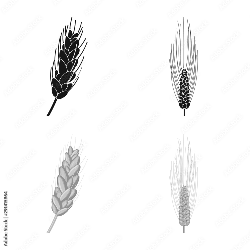 Vector design of agriculture and farming symbol. Set of agriculture and plant stock symbol for web. Vector design of agriculture and farming symbol. Set of agriculture and plant stock symbol for web.