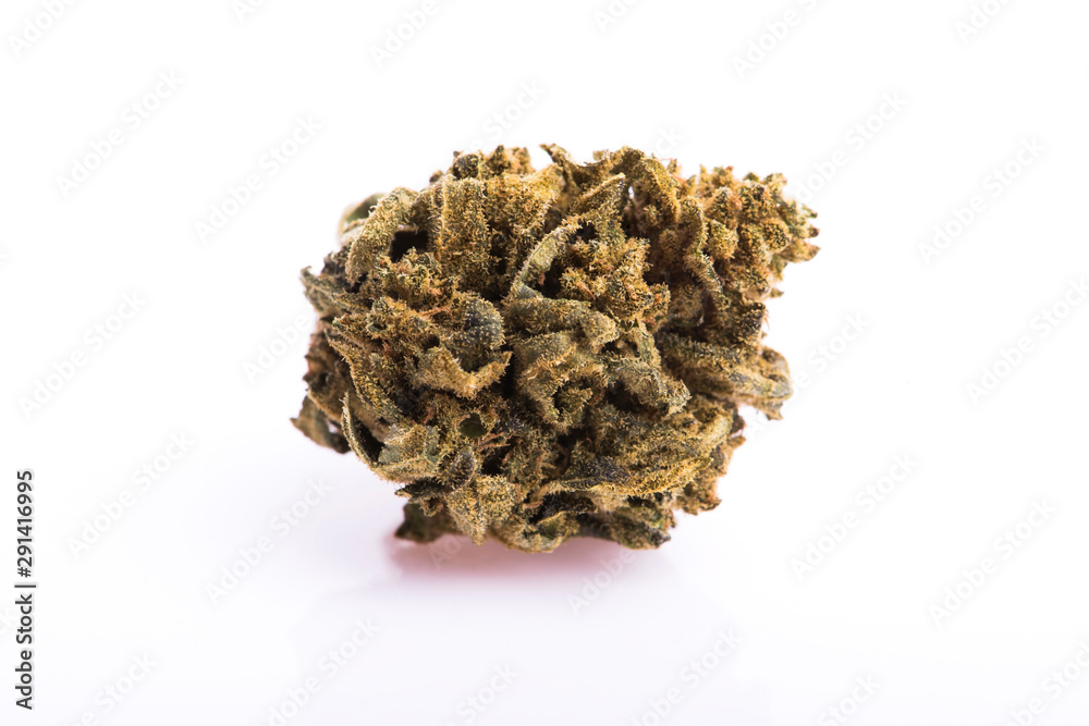 Dry marijuana bud on white background Dry marijuana bud on white background