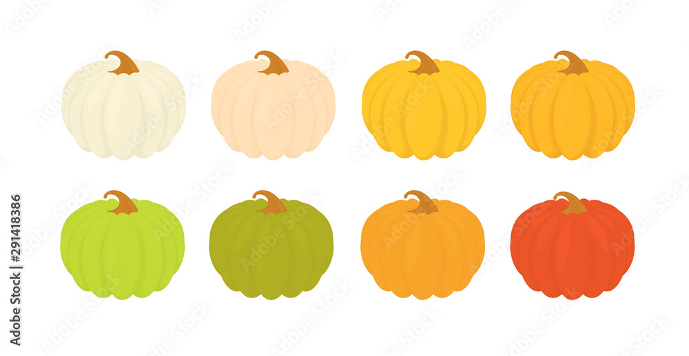 Botanical illustration of a pumpkin flat set of icons isolated on a white background. Halloween sign set