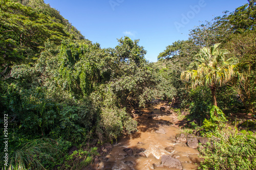 Fototapeta Naklejka Na Ścianę i Meble -  Tropical River