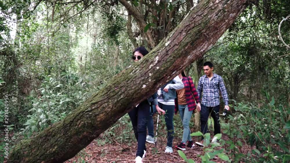Following a group walking in a forest, gimbal stabilizer shot Following a group walking in a forest, gimbal stabilizer shot