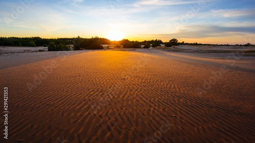 wide sandy desert at the sunset  outdoor wild natural background