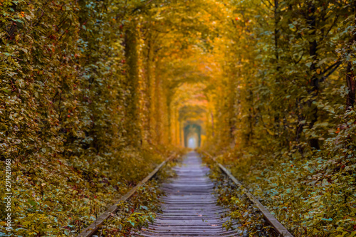 railway through a tunnel of red autumn leaves