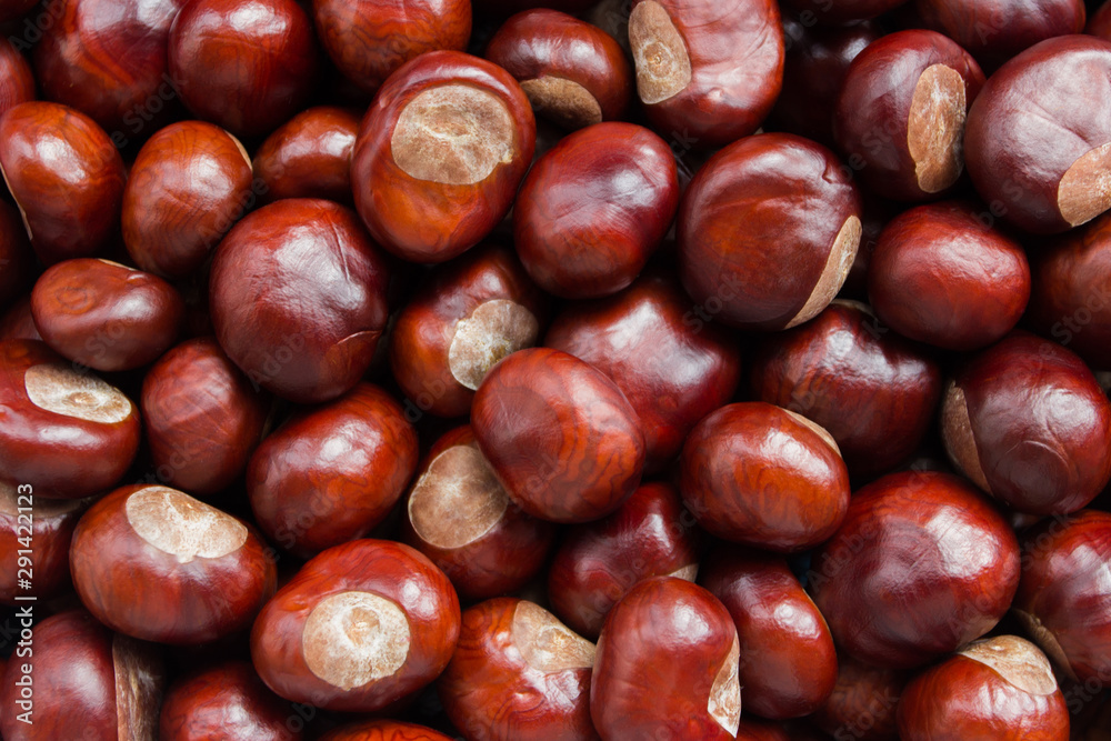 Background made from brown chestnut seeds Background made from brown chestnut seeds