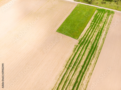 Aerial view. Crop agricultural fields.