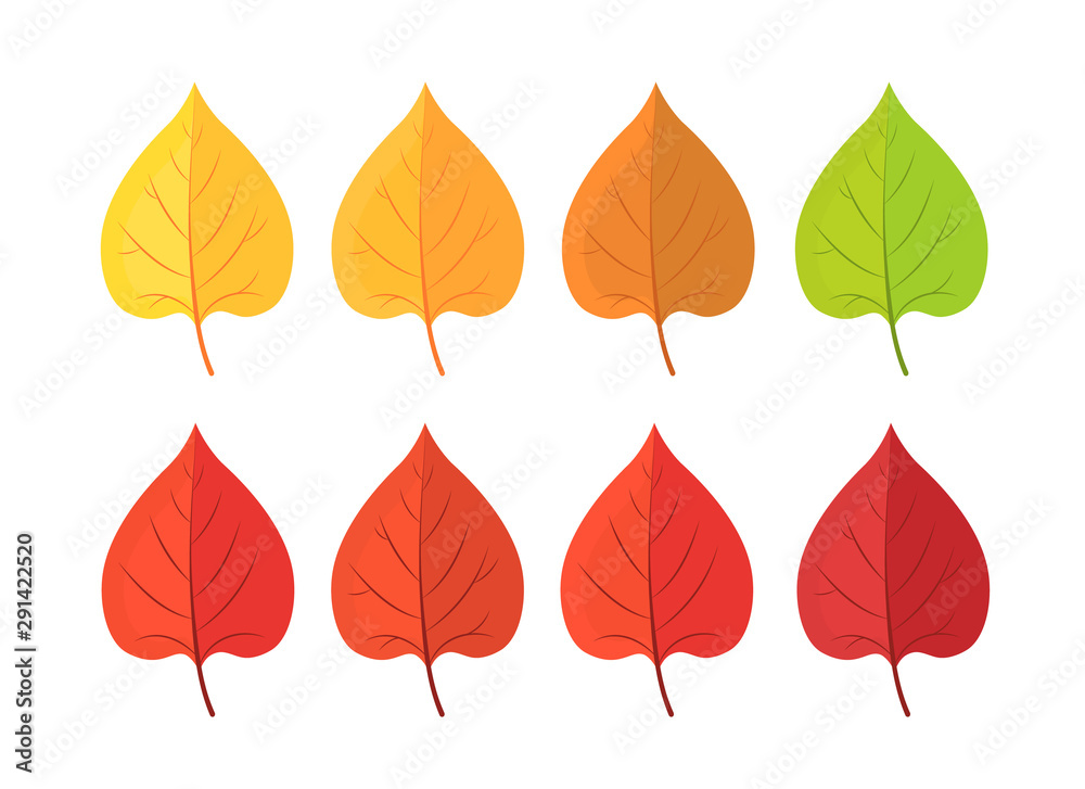 Autumn leave. Set of yellow red autumn leaf, fallen dry leaves isolated on white. Autumn leave. Set of yellow red autumn leaf, fallen dry leaves isolated on white.