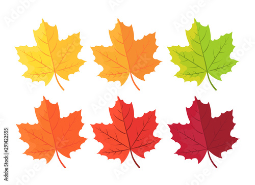 Autumn background with leaves. Maple leaf in red yellow brown and green