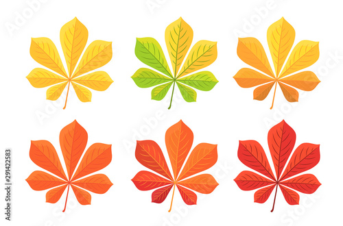 Autumn chestnut leaf isolated on white background. Flat design, vector