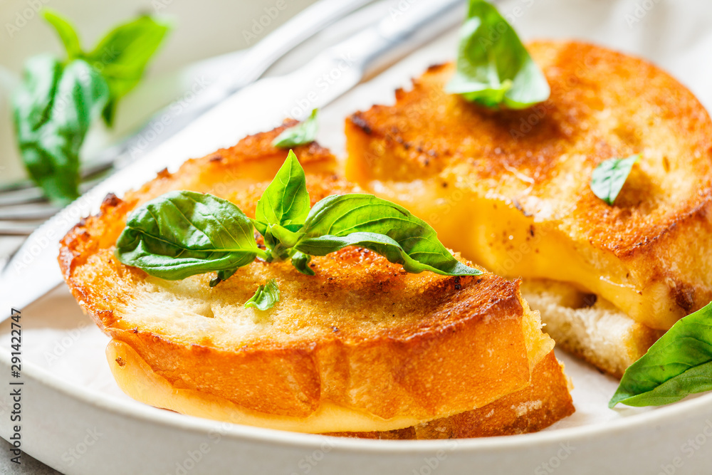 Fried sandwiches with cheese and basil on white plate. Fried sandwiches with cheese and basil on white plate.