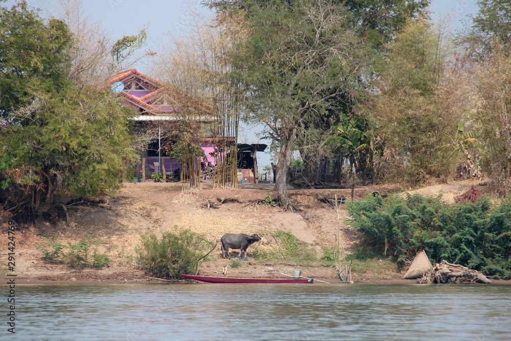 along the mekong river in laos along the mekong river in laos