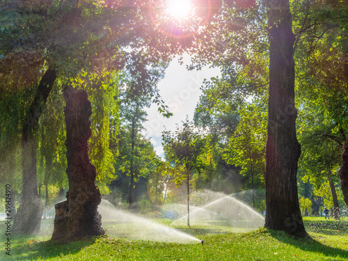 Sunny morning in the city park.