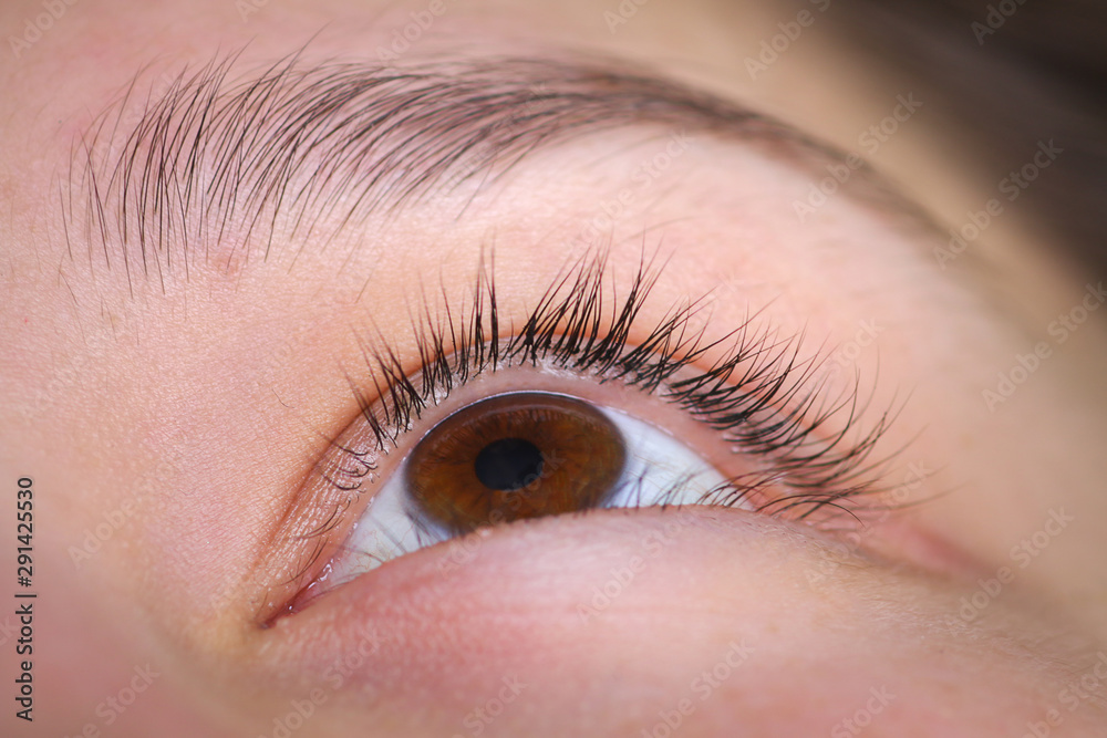 Eyelash extension procedure, woman eye with Long eyelashes Eyelash extension procedure, woman eye with Long eyelashes