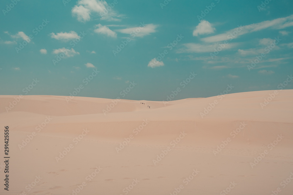 Group of people walking in the desert