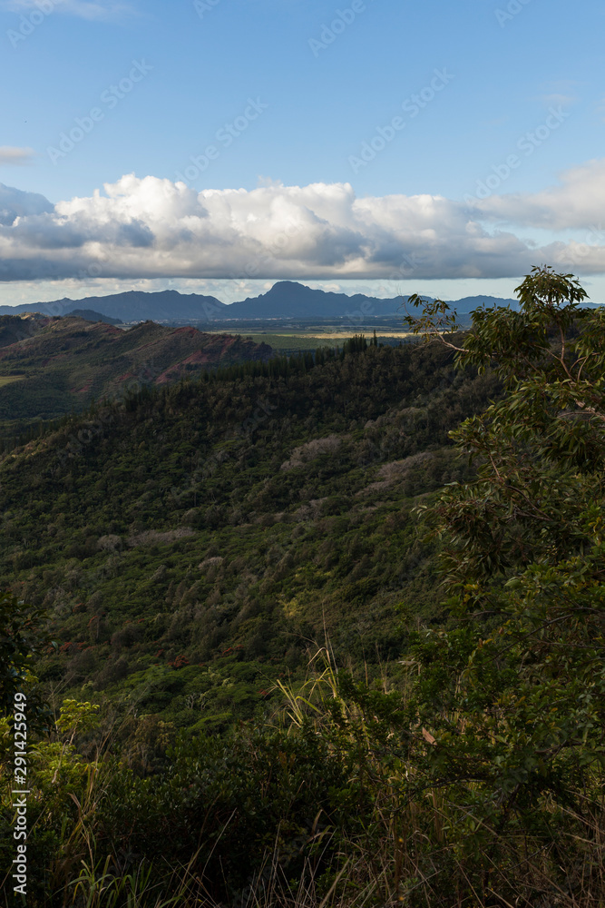 Tropical Countryside