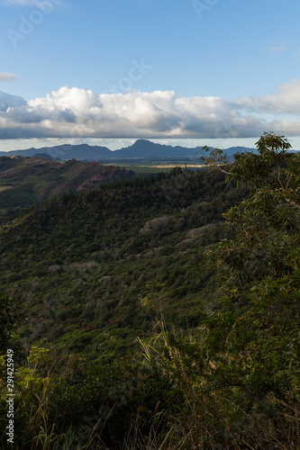 Tropical Countryside