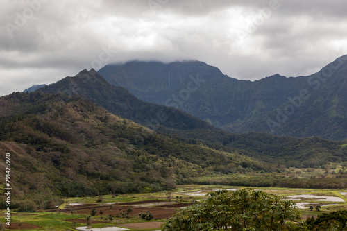 Tropical Mountains