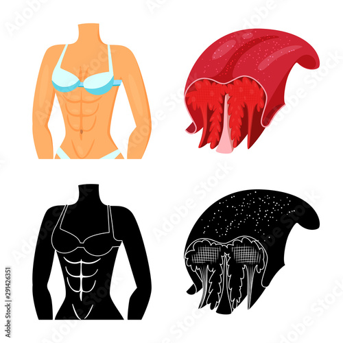 Vector design of fiber and muscular icon. Set of fiber and body vector icon for stock.