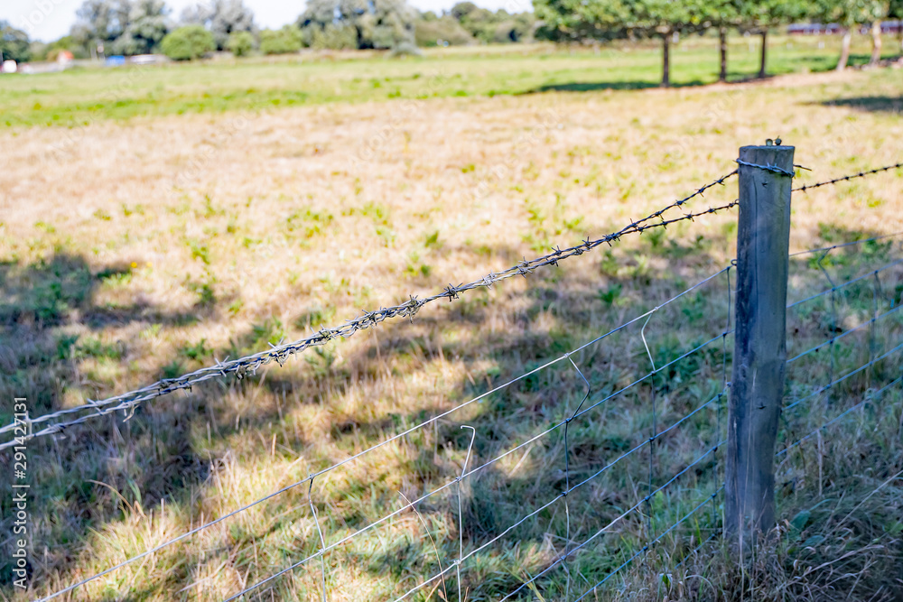 Fototapeta premium 10 Picket fence with a strand of barbed wire along the top