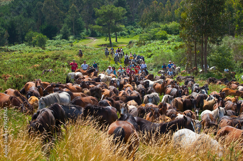 Vászonkép A Rapa das Bestas, Sabucedo, Pontevedra, Galicia