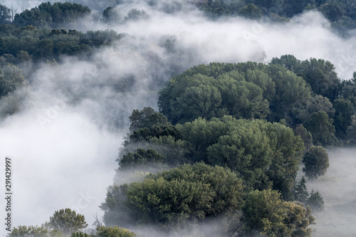 The misty forest, autumn landscape (Italy)