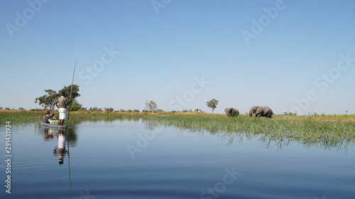 Konstfotografi Elephants roaming in the wetlands of the Okavango Delta in Botswana, Africa