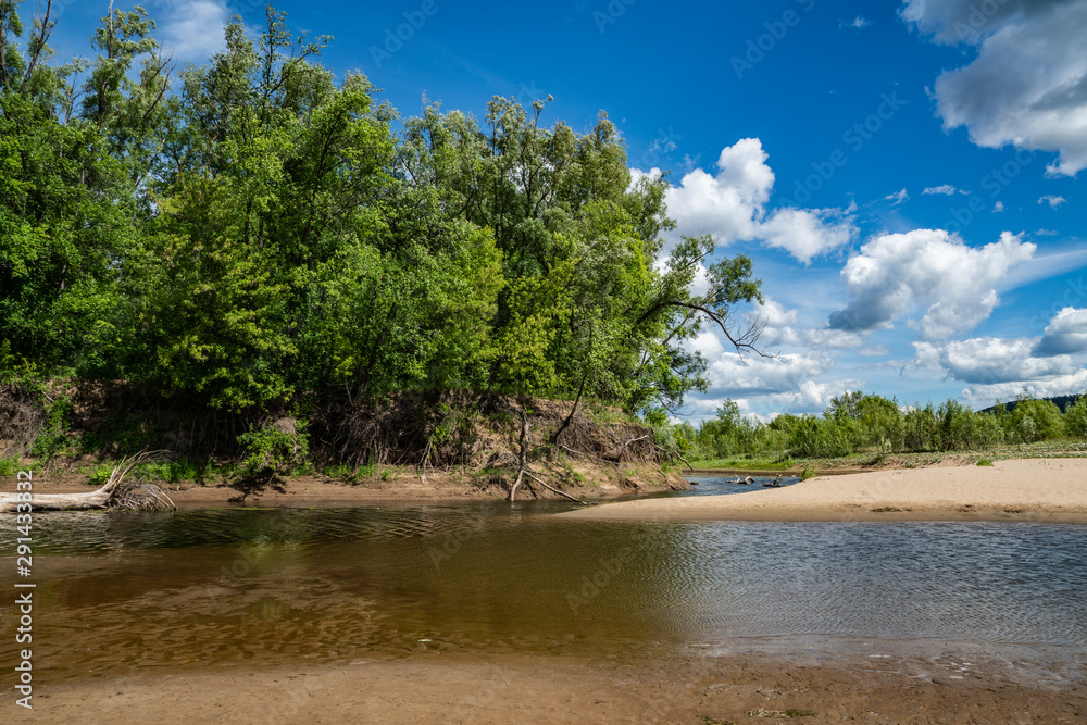 summer, warm, clear, serene, day, trip, journey, walk, rest, nature, flora, landscape, landscape, forest, mountains, river, calm, water, paths, footprints, sand, reflections, trees, shrub, foliage, gr summer, warm, clear, serene, day, trip, journey, walk, rest, nature, flora, landscape, landscape, forest, mountains, river, calm, water, paths, footprints, sand, reflections, trees, shrub, foliage, gr