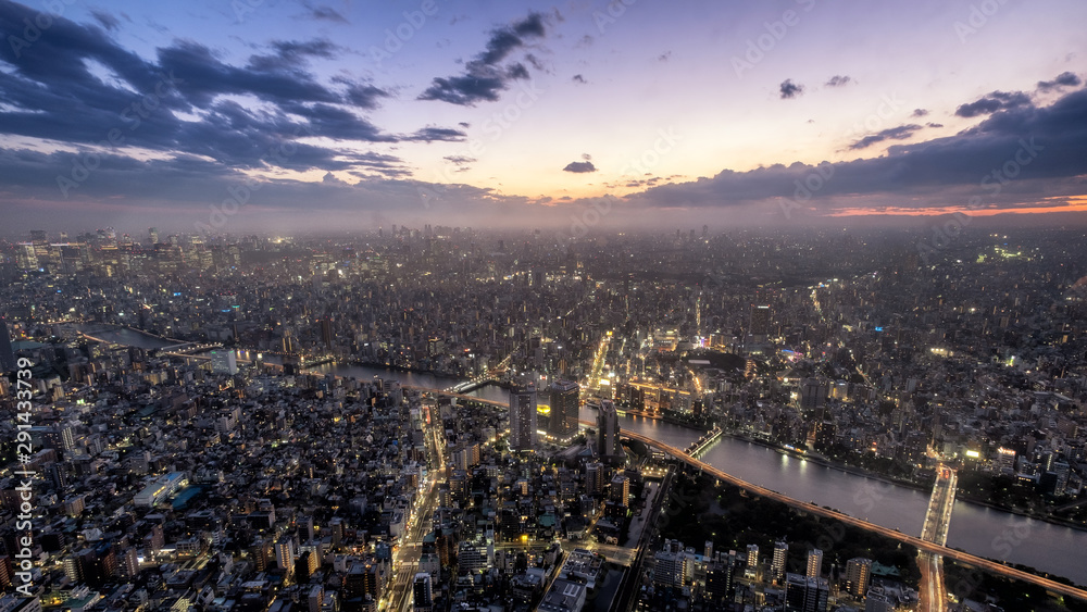 Fototapeta premium 東京都・墨田区 夏の東京スカイツリーからの夜景