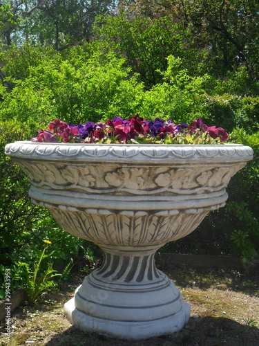 fountain in the garden